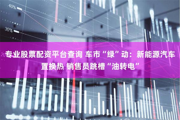 专业股票配资平台查询 车市“绿”动：新能源汽车置换热 销售员