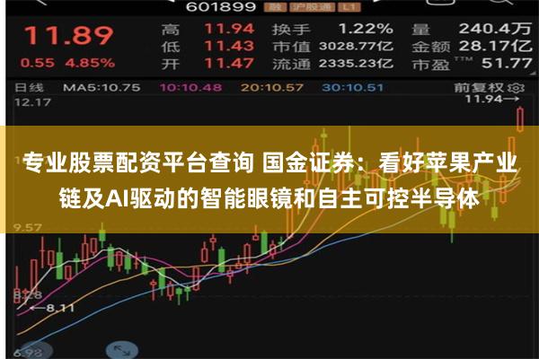 专业股票配资平台查询 国金证券：看好苹果产业链及AI驱动的智