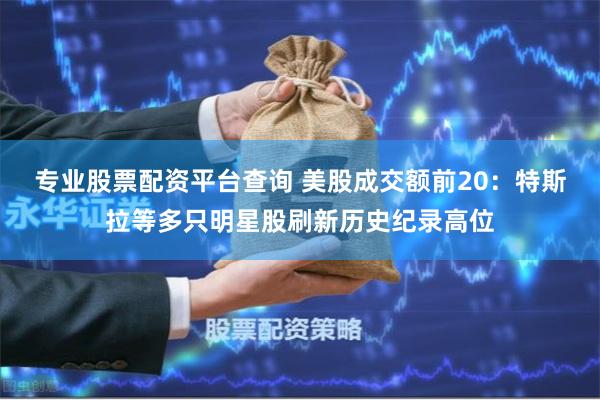 专业股票配资平台查询 美股成交额前20：特斯拉等多只明星股刷