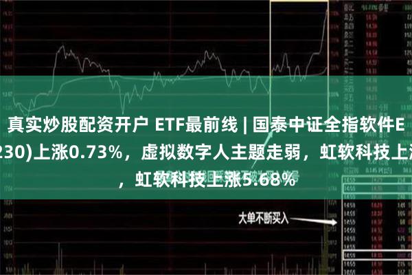 真实炒股配资开户 ETF最前线 | 国泰中证全指软件ETF(515230)上涨0.73%，虚拟数字人主题走弱，虹软科技上涨5.68%