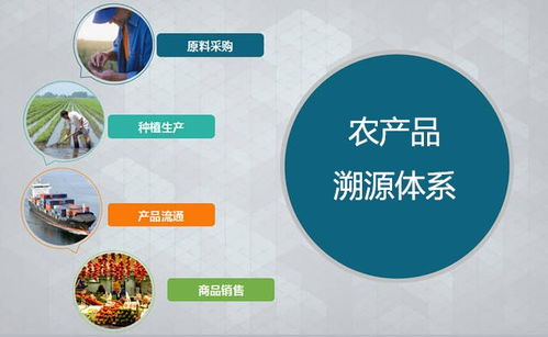 三維碼誠(chéng)信溯源超市 以物聯(lián)網(wǎng)技術(shù)賦能農(nóng)產(chǎn)品溯源，驅(qū)動(dòng)智慧農(nóng)業(yè)新未來(lái)